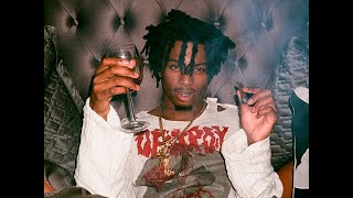 Playboi Carti  Molly Unreleased [upl. by Ailisab555]