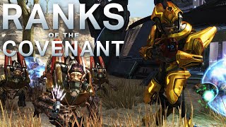 Ranks of the Covenant – Every Known Covenant Rank  Halo Lore [upl. by Gavriella647]