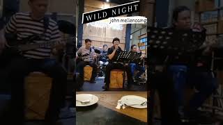 john mellencamp  wild night [upl. by Anzovin]