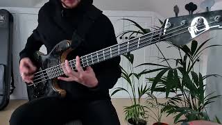 ERRA  SNOWBLOOD BASS COVER [upl. by Laundes517]