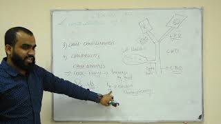 BILIARY PATHOLOGY CHOLELITHIASIS VS CHOLECYSTITIS VS CHOLEDOCHOLITHIASIS VS CHOLANGITIS [upl. by Suu]