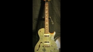 2014 PRS SE Zach Myers 245 in Trampas Green ReviewDiscussion [upl. by Trisha]