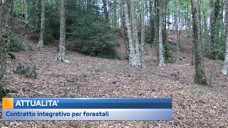 Contratto integrativo per forestali [upl. by Deery]