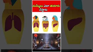 🤯మమ్మీలు ఎలా తయారు చేస్తారు😍 mummification egypthistory shortfeed [upl. by Hanfurd785]