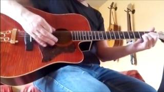 DIY Electro Acoustic Guitar guitarkit Sunsmile Guitars rotosound strings [upl. by Essyle]