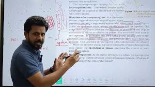 Structure of Microsporangium Line by line MCQs analysis in tamil  NEET 2025 12th std biology [upl. by Andromada]