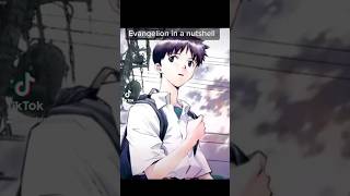 Evangelion in a nutshell evangelion anime jobbythehong [upl. by Engud]