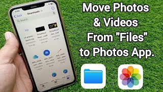 How to Move Photos and Videos From Files to Photos on iPhone [upl. by Pitt]