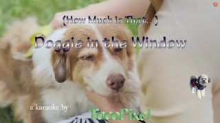 Doggie in the Window a Karaoke [upl. by Amick28]