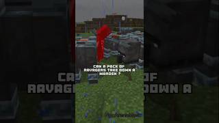 Minecraft NPC WARS WARDEN VS Ravagers PACK npcwars minecraft [upl. by Eojyllib]