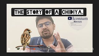 Story of a quotChidiyaquot  Robin  Iconium Nexus [upl. by Raybourne]