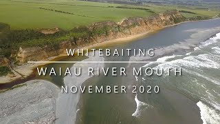 Whitebaiting the Waiau River Southland  November 2020 037 [upl. by Sirois]