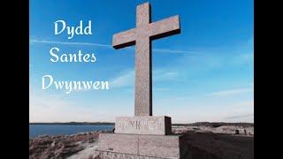 Dydd Santes Dwynwen 2024 [upl. by Lipfert]