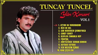 Tuncay Tuncel  YILIN KONSERİ VOL 1 [upl. by Hploda]