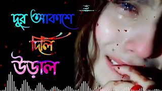 দূর আকাশে দিলি উড়াল  dur akashe dili Ural  new song  🥺💔😔 [upl. by Suitangi]