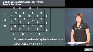 Didáctica de las Matemáticas en Primaria Métodos alternativos para multiplicar  UNIReducación [upl. by Inami]