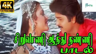 சிறுவாணி ஆத்து தண்ணி Siruvaani Aathu Thanni Mano ChitraLove Duet Melody Song [upl. by Burford]