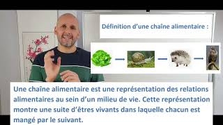 Chaîne alimentaire et niveau trophique [upl. by Iral]