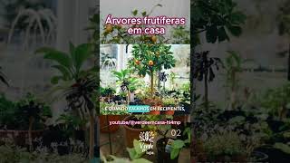 Árvores frutíferas em casa 02 [upl. by Corena]