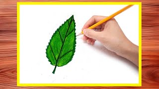 How to Draw a Leaf  Beautiful Leaf Drawing  Leaf Drawing [upl. by Marelda]