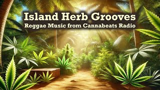 sunocom  Riddim and Relief v2  Reggae Music for Relaxing LaidBack Reggae Roots Reggae [upl. by Eineg976]