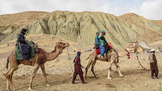 Camelback counters trek wilderness to carry out Pakistan census [upl. by Liemaj822]