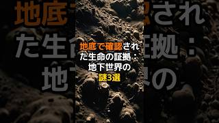 地底で確認された生命の証拠地下世界の謎３選 [upl. by Atled879]