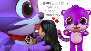 VLOG 코유뿌에게 새로운 가족이 생겼어요 COYOUPU has a new family  아기호랑이 퍼플부 baby tiger quotPurple BUquot [upl. by Neelyad]