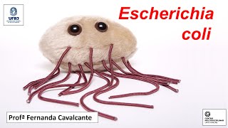 Aula Escherichia coli  UFRJ Macaé  MED 20201 [upl. by Gerfen]