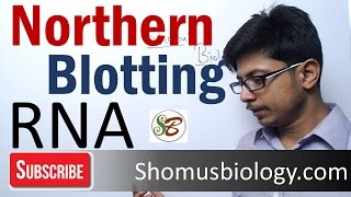 Northern blotting technique [upl. by Hakkeber]