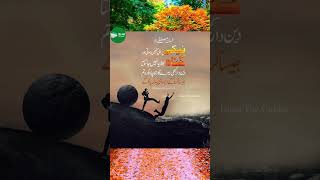 HAdees hadees allah subhanallah fyp wazifaforlove rizaqkawazifa shorts vtuber tree [upl. by Farrica]