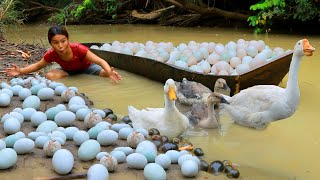 survival in the rainforest  Found Goose egg and Chicken at river  Fried Chicken eating delicious [upl. by Connelly]