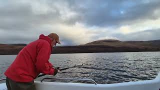 Loch Linnhe flat fish fest [upl. by Ssor]