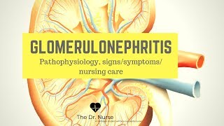 Glomerulonephritis Patho Signssymptoms nursing care [upl. by Atteynot]