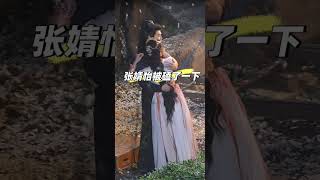 Chen Zhe Yuan amp Zhang Jing Yi chenzheyuan zhangjingyi trantrietvien truongtinhnghi cdramaclips [upl. by Novaat767]