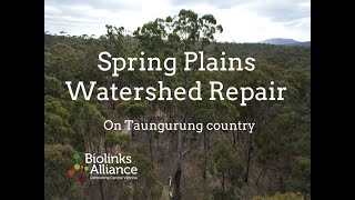 Biolinks Alliance Spring Plains Watershed Repair Project  building climate resilient landscapes [upl. by Eiramacissej273]