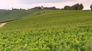 WineProducing Regions  Mosel Pfalz and Franconia  Discover Germany [upl. by Hnirt991]