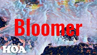 호아HOA  Bloomer Official Lyric Video [upl. by Shwalb]