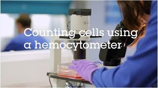 Counting cells using a hemocytometer video protocol [upl. by Moselle]