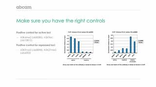 Immunoprecipitation IP Controls [upl. by Dougie]