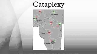 Cataplexy [upl. by Susana]