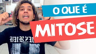 O Que É Mitose Eu te Explico 6  Biologia com Patrick Gomes [upl. by Ioyal207]