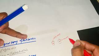 Bioassay of antibiotics [upl. by Eitirahc407]