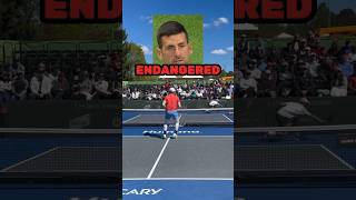 “Tennis Is ENDANGERED” Novak Djokovic  Is Tennis Dying shorts [upl. by Aiynat848]