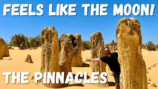 The Pinnacles  Nambung National Park WA [upl. by Adlesirg607]