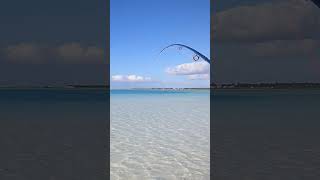 Bonefish and reels 😍 fishing bonefish saltwaterflyfishing fish [upl. by Acissej782]