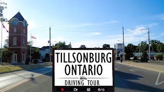 Dash cam Tillsonburg Ontario [upl. by Utta737]