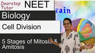 Cell Division  Mitosis amp Amitosis 5 Stages of Mitosis  Memory Tricks  NEET  AIIMS  MCAT [upl. by Arbrab]