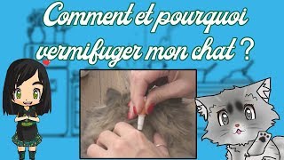 COMMENT VERMIFUGER SON CHAT [upl. by Far899]