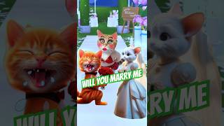 Will you marry me cat cutecat catvideos [upl. by Liu]